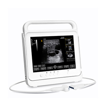 pt50a b/w ultrasound system
